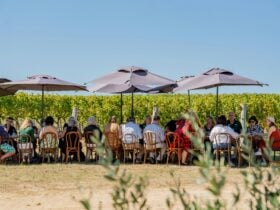 People enjoying a long lunch surrounded by green vines