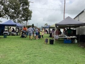 Photo of grassy area with pop up gazebos and people milling about.
