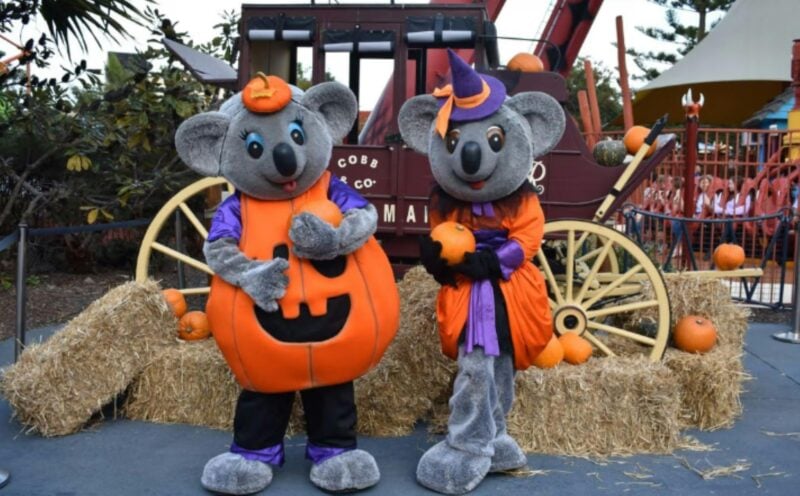 Happy Halloween