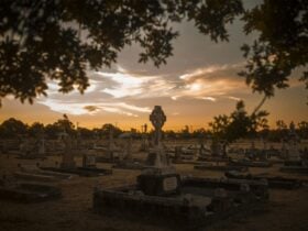 Cemetery through trees, showing headstones at sunset