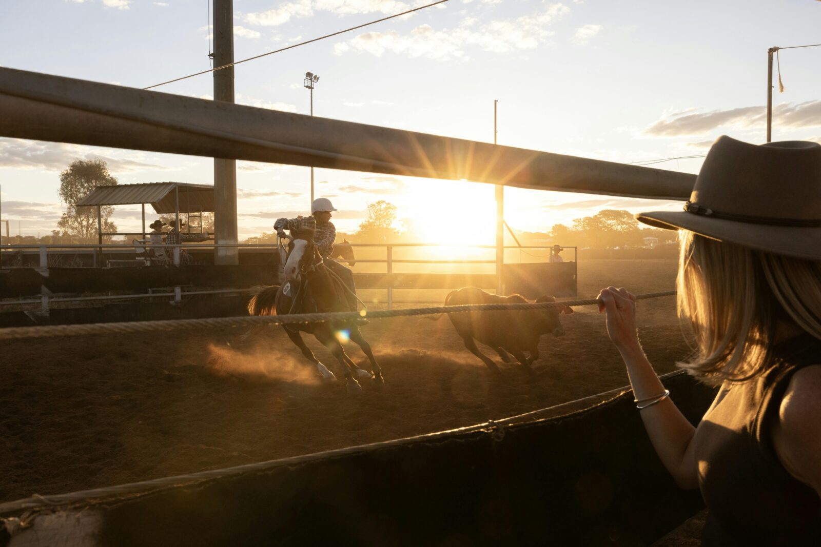 Girl watching horse and rider chase cattle