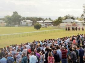 Crowd watching horses racing