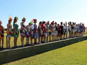 Fashions on the Field