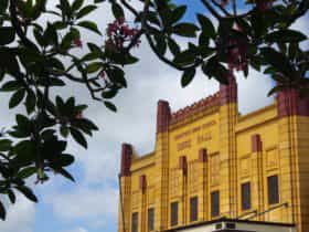 Innisfail Shire Hall