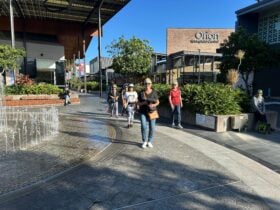 5 ladies walking
