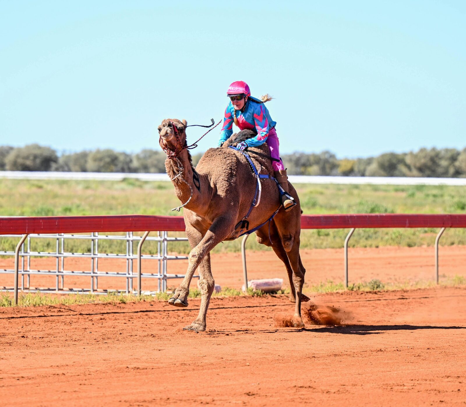 Jundah Camel Races 2025