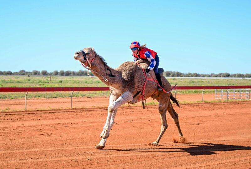 Jundah Camel Races 2025