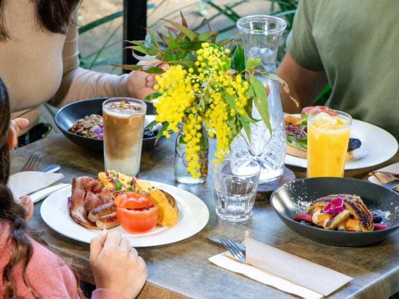 Koala Breakfast Currumbin
