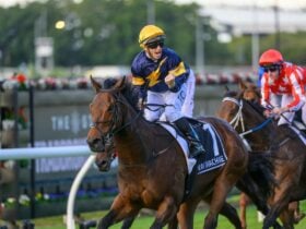 Ladbrokes Stradbroke Day