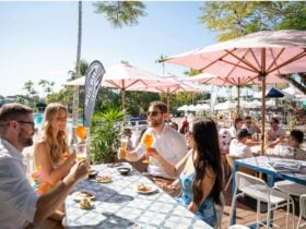 A group of men and women drinking together