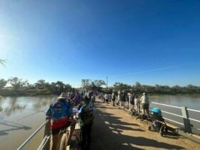 Fishing from the Thomson River Bridge