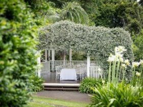 The Library Deck event space