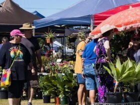 People standing near plant stall
