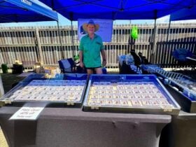 Exhibitor at Previous Gemfair