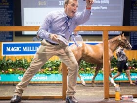 Magic Millions Gold Coast Yearling Sale