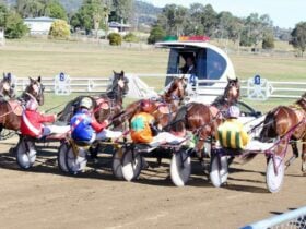Mobile Gate is on the move racing at Marburg