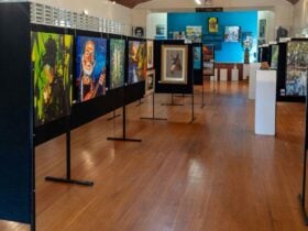Original artwork on display boards at Imbil, Queensland