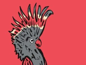 Melbourne International Comedy Festival Roadshow