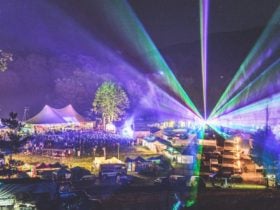 Lazer at night