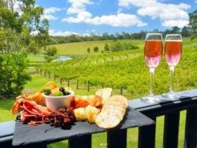 Picnic platter and two glasses of wine