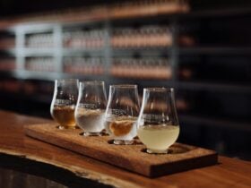 Lineup of gin tastings