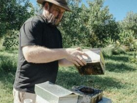 currumbin bee workshop