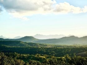 Panoramic view of the lush McPherson Ranges with rolling green hills
