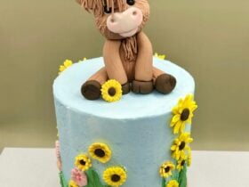 Highland Cow