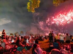 Crowd watching fireworks in the sky.