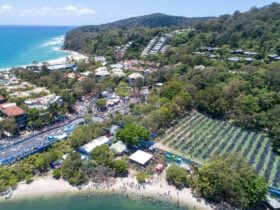 Aerial photo of Noosa during the Noosa Triathlon