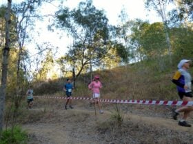 Scenic Rim Trail Running Series Rd 1