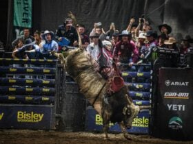 PBR athlete riding bull