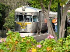 Mary Valley Rattler - Silver Bullet High Tea Experience