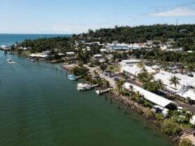 Longest Lunch Carnivale