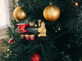 Mary Valley Rattler - Rattler Christmas Community Fair