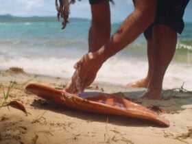 Artist, Dean BiÅkin Tyson, on Country, 2026 (Still).