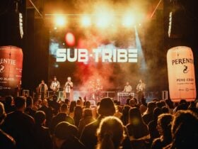 Reggae by the River at DRM