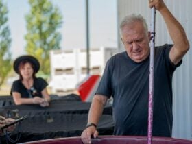 RIDGEMILL ESTATE Pick Crush Plunge Experience