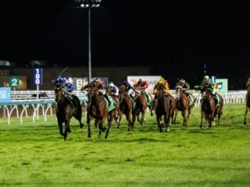 Silks Under The Stars Race Evening