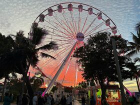 Ferris Wheel in front of the setting sun