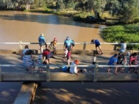 Fishing off the Ward River Bridge