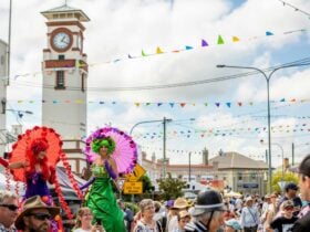 Street Carnival at Stanthorpe Apple and Grape Harvest Festival