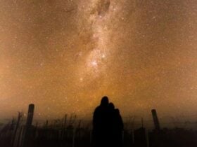Starlight & Vines a Stargazing Affair at ridgemill estate