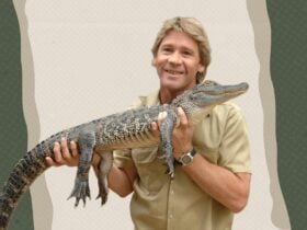 Steve Irwin
