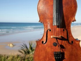 Close-up of a violin on the Lifesavers