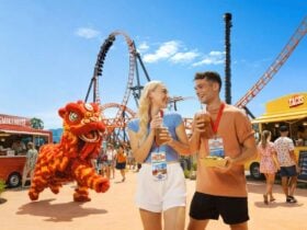 two people with food and drinks at theme park