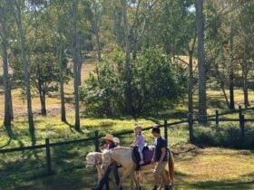 child riding pony