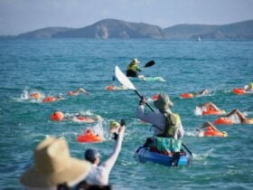 Beginning of the swim