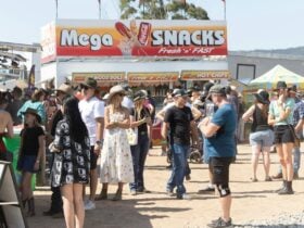 Woodstock Farm Presents - Tamborine Rodeo