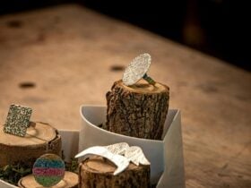 4 handforged rings of different colours, sizes and styles displayed on natural wood stands.